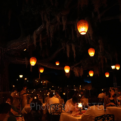 無数のちょうちんにも注目