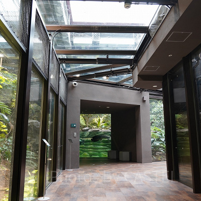 アマゾンゾーン