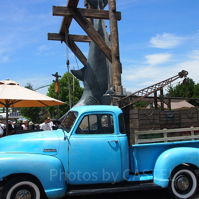 アミティ・ビレッジ