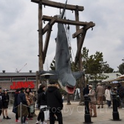 アミティビレッジのジョーズ