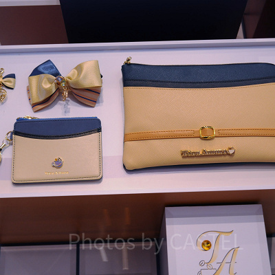 安室のマスクケース（写真右）