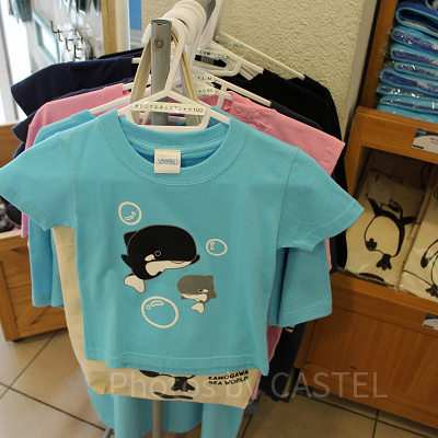 コロンとしたシャチのイラストがかわいいオリジナルTシャツ