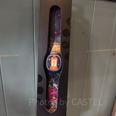 アナハイムディズニーのマジックバンド＋：ティンカーベル