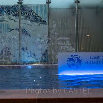 水族館パスポート（年間パスポート）