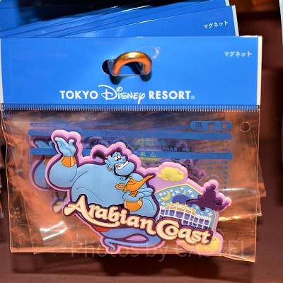 アラビアンコーストマグネット