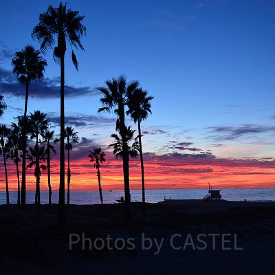 キャプテンたちは常夏でバケーション中？！