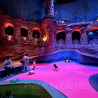 アリエルのプレイグラウンド（ディズニーシー/マーメイドラグーン）