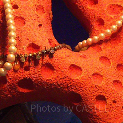 アリエルのプレイグラウンド