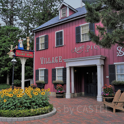 アーント・ペグズ・ヴィレッジストア