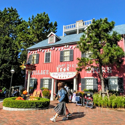 アーント・ペグズ・ヴィレッジストア