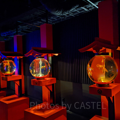 アートアクアリウム銀座　提灯リウム