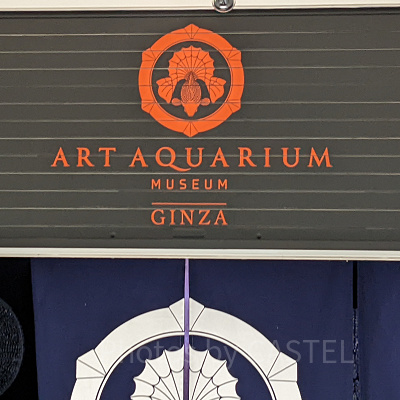 アートアクアリウム銀座　入口