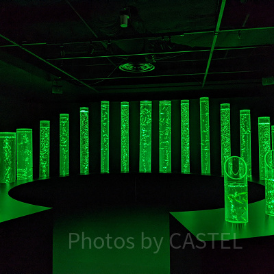 アートアクアリウム銀座　金魚の竹林