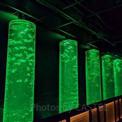 アートアクアリウム銀座　金魚の回廊