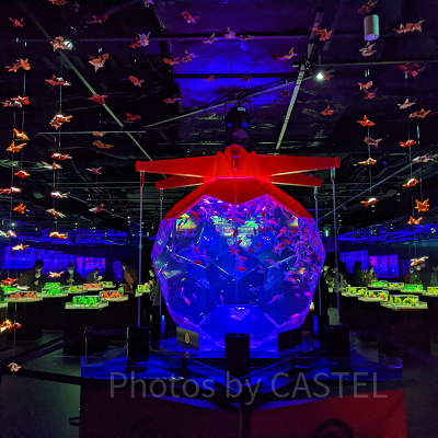 アートアクアリウム銀座　オリガミリウム