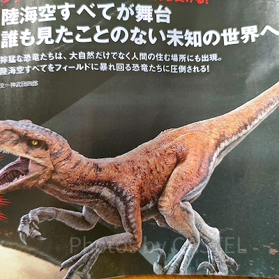 アトロキラプトル