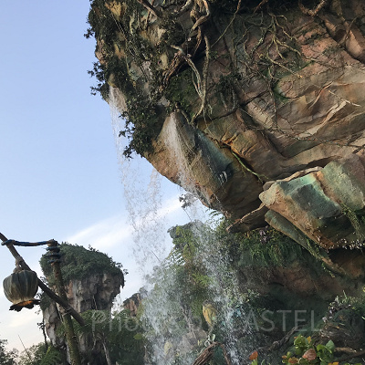 ウォルト・ディズニー・ワールドにあるアバターエリア