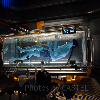 アバターのアトラクション