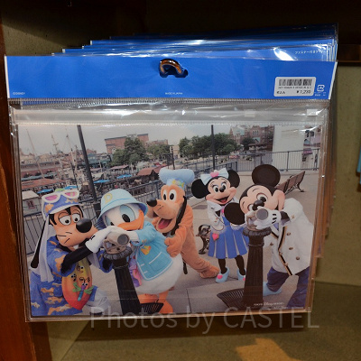 ケースセット裏