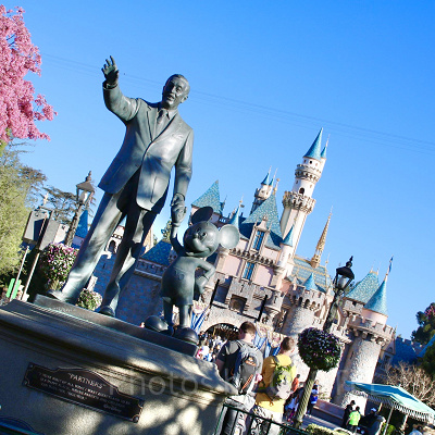 「D23」の基本情報