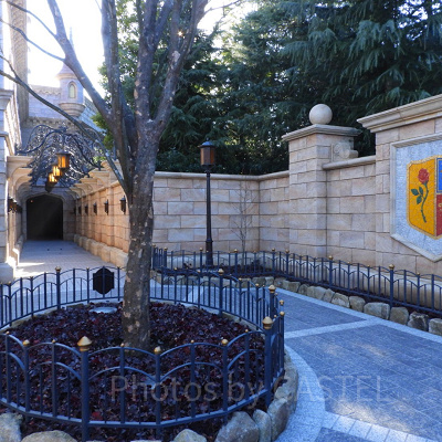 「美女と野獣“魔法の物語”」トリビア