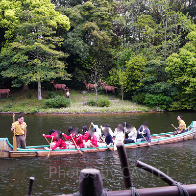ビーバーブラザーズのカヌー探検