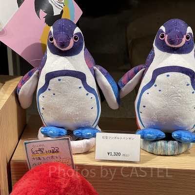 紅型フンボルトペンギン