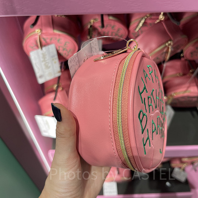 バースデーケーキポーチ(横)