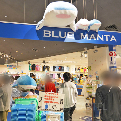 美ら海水族館のブルーマンタ