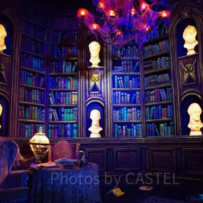 ホーンテッドマンションの花嫁のバックグラウンドストーリー