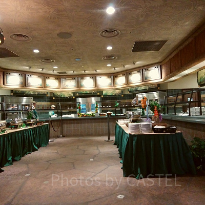 「ユニバーサル・ジャングル・ドリーム・パーティ」のビュッフェスペース/USJ