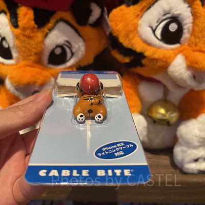 ケーブルバイト　チャンドゥ