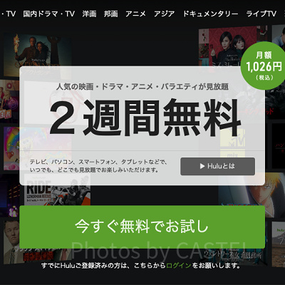 huluでディズニー映画は見られる？