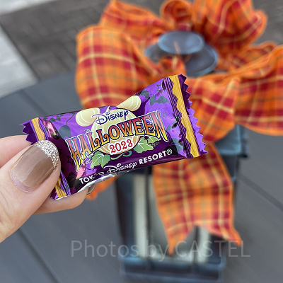 ハロウィーンフェア・イン・ニューヨークのトリック・オア・トリートプログラムでもらえるキャンディー(2023年に配布していたもの)