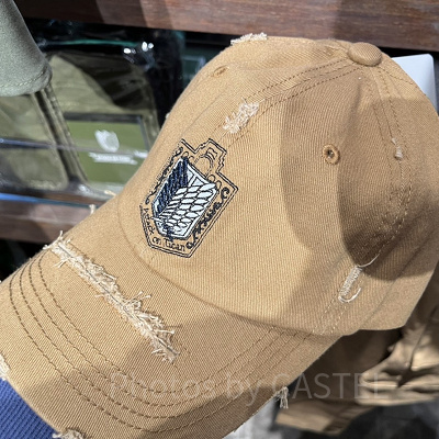 進撃の巨人 USJ 限定 チャームセット 全10個入り アクリルチャーム USJ 限定 進撃の巨人 チャーム コレクション ジャン usj ユニバ