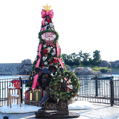 ケープコッドのクリスマスツリー