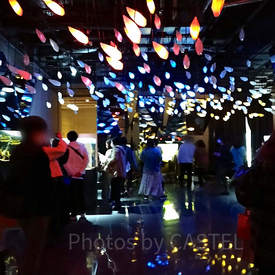 CAVEはじまりの洞窟／神戸アートミュージアムアトア