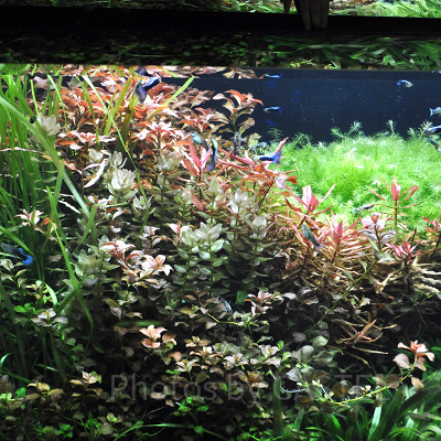 CAVEはじまりの洞窟／神戸アートミュージアムアトア