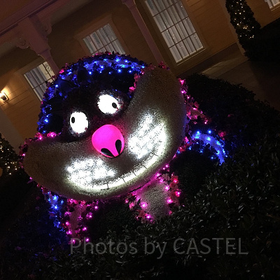 セレブレーションホテル：ウィッシュの中庭