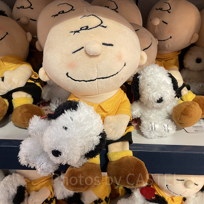 チャーリーブラウンのぬいぐるみ