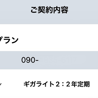 料金プランの確認