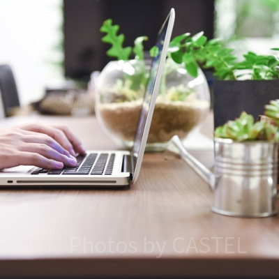 早朝のWEBサイトをチェック！