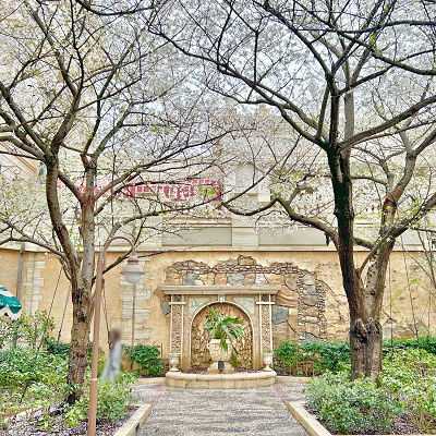 ディズニーシーのピクニックエリア・ノースの桜