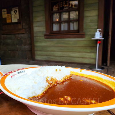 ディズニーランド食べ物:チキンカレー
