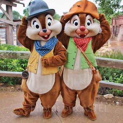 チップとデールのペアグリ