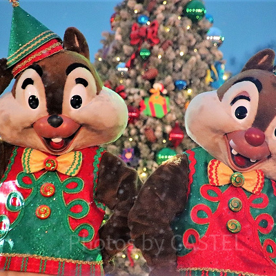 チップとデール