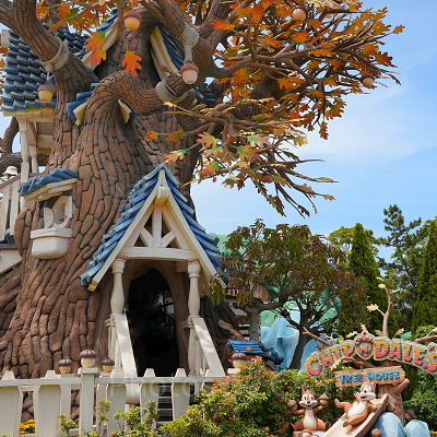 チップとデールのツリーハウス外観