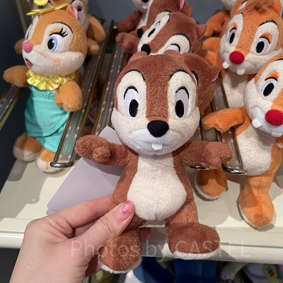 チップポージープラッシー