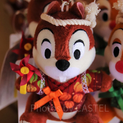 チップの夏ぬいば