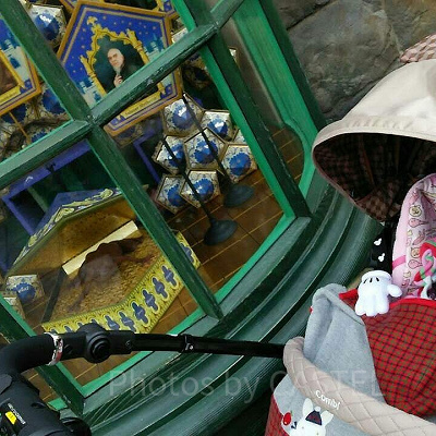 カエルチョコのディスプレイ/ハリーポッターエリア